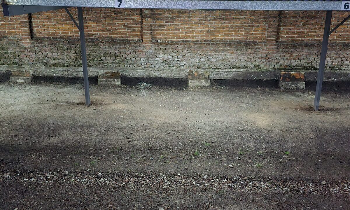 WhatsApp Image 2025-11-13 at 07.58.59 (3)