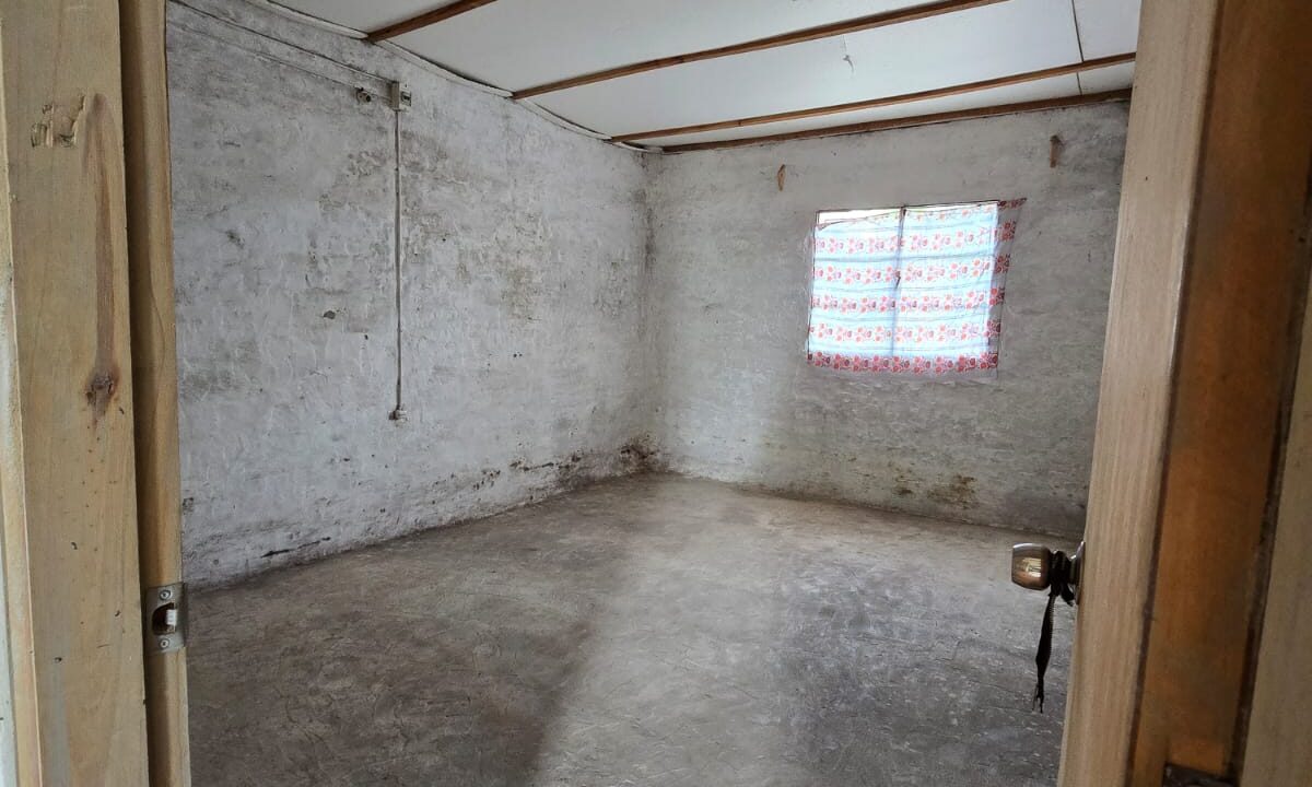 WhatsApp Image 2026-01-08 at 09.50.48